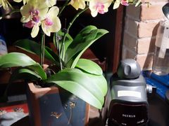 -德福楼咖啡吧(德福巷店)