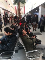 -复旦大学附属妇产科医院(杨浦院区)