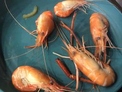 -SHRIMP CLUB万东餐饮钓虾·清吧