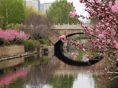 -元大都城垣遗址公园