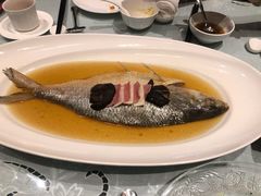 陈年花雕蒸鲥鱼-福1088