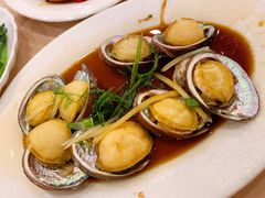 鲍鱼仔-湛江渔港·大排档(乐园路总店)