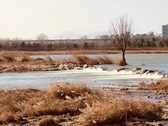 -绿堤公园
