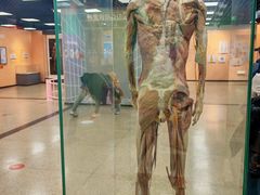 -国家自然博物馆