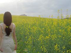 -光明小镇欢乐田园