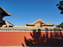 -大召无量寺
