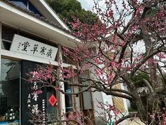 -无锡梅园公园