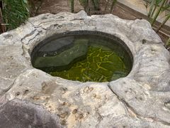 -龙达温泉生态城