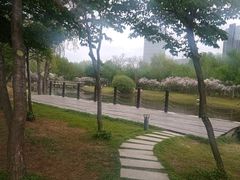 -群力丁香公园