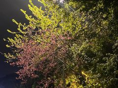 -华南理工大学五山校区-运动场