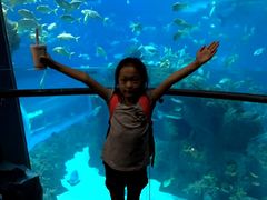 -成都浩海立方海洋公园