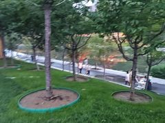 -大望京公园