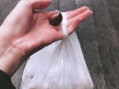 -高记福桂桂花糖炒栗(鼓楼店)