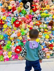 -宝燕乐园(闵行旗舰店)