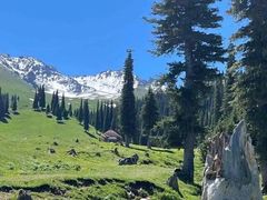 -新疆那拉提国家旅游度假区