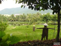 稻草人-三亚亚龙湾红树林度假酒店