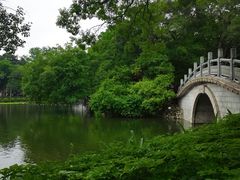 -荔湾湖公园