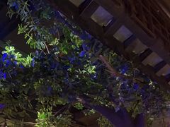 -绿茶餐厅(汇悦大融城店)