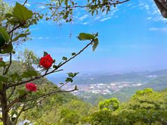 -东莞观音山旅游风景区