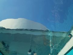 -金泽21世纪美术馆