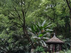 -忠山公园
