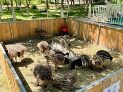 -水上乐园·欢乐世界