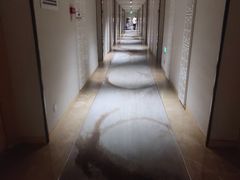 -佛山岭南天地康得思酒店