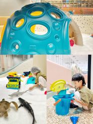 -奈尔宝家庭中心·亲子早教·派对餐厅(北京东坝万达店)