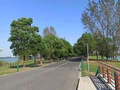-漕湖湿地公园