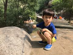 -碓臼峪自然风景区