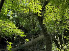 -宁波市保国寺古建筑博物馆