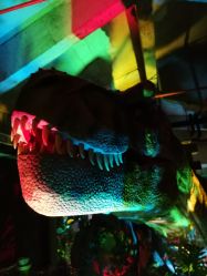 -恐龙探索乐园(磁器口店)