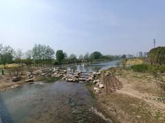 -东郊湿地公园