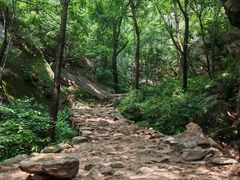 -大岭沟猕猴桃谷风景区