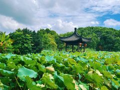 -丝绸小镇荻港古村