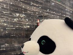 -眉州东坡(清河万象汇店)