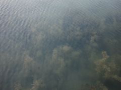 -南北湖风景区