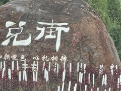 -特克斯八卦城