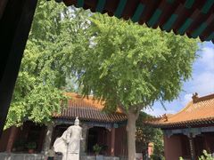 -戏马台景区