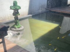 -觀芷隐轩