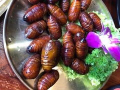 -红小姐的烤肉店(西三旗店)