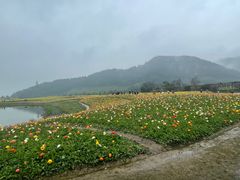 -径山花海