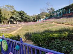-龙凤山庄影视度假村