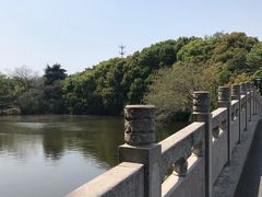 -太子山公园(园东路)