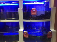水产区-七欣天香辣蟹火锅(无锡金太湖国际城店)