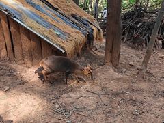 -昆明动物园