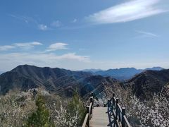 -大岭沟猕猴桃谷风景区
