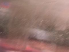 -杨震卤菜旗舰店