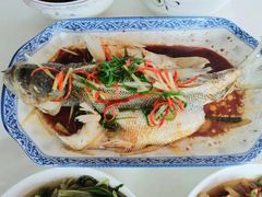 -天鹅到家·保姆月嫂育儿嫂(蔚蓝海岸店)