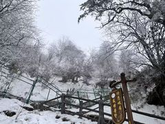 -峨眉山风景名胜区